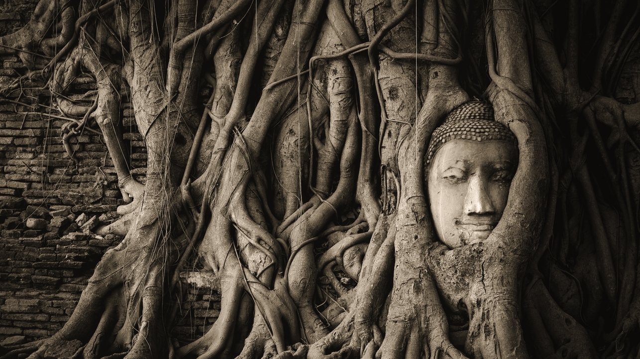 Ayutthaya One Day Trip from Bangkok